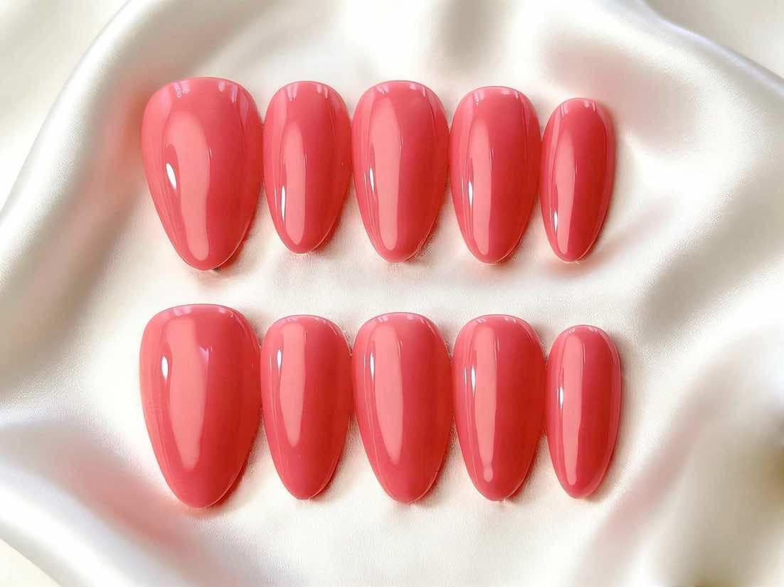 Coral Muse