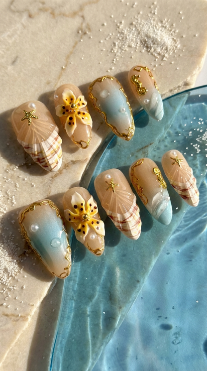 Coastal Golden Seashells